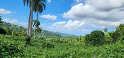/international/pr/lote-5-958-rio-grande-rio-grande-rio-grande-110108237214/