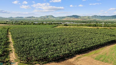 /international/pr/km-157-1-bo-lapas-pr-3-salinas-salinas-salinas-110106928384/