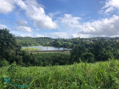 /international/pr/1-camino-las-curias-cupey-san-juan-san-juan-110107680556/