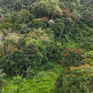 /international/pr/0-manati-bo-rio-arriba-poniente-manati-manati-manati-110107200379/