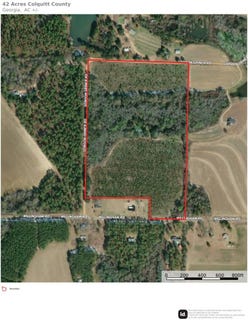 /international/us/willingham-road-ochlocknee-ga-110110355270/