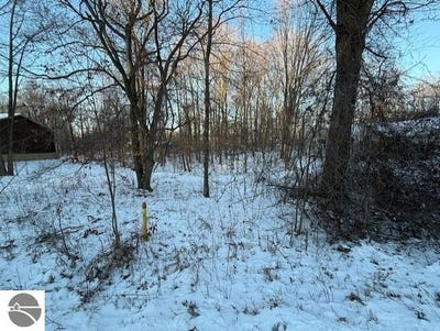 /international/us/tbd-hardwood-trail-perrinton-mi-110104964197/