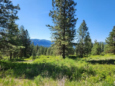 /international/us/tbd-gold-mountain-rd-republic-wa-110108191944/