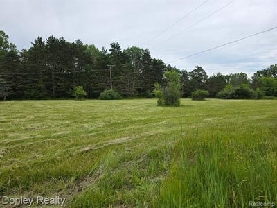/international/us/v-l-lorraine-street-marlette-mi-110106501782/