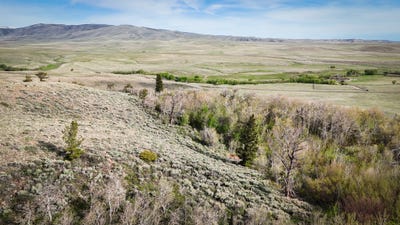 /international/us/tract-11-state-hwy-11-laramie-wy-110119615610/