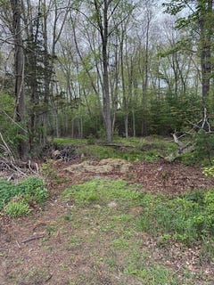 /international/us/harvey-street-taunton-ma-110108013136/