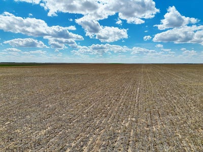 /international/us/tbd-county-road-135-sidney-ne-110107966297/