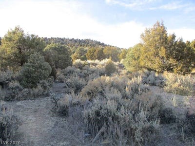 /international/us/nv-hwy-322-30-15-ac-pioche-nv-110107016542/