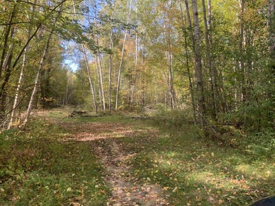 /international/us/e-west-branch-road-saint-helen-mi-110110422699/