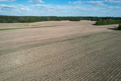 /international/us/jones-orchard-rd-golconda-il-110105324182/