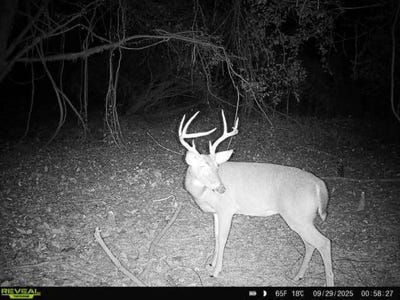 /international/us/0-hwy-51-durant-ms-110102621549/