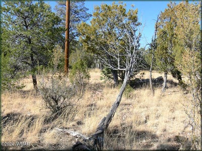 /international/us/3326-bear-heights-road-heber-az-110096162442/