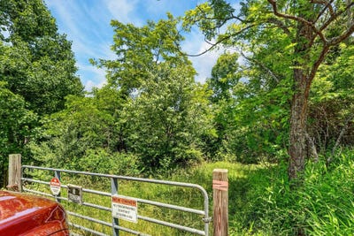 /international/us/tbd-50-acres-thunderstruck-road-floyd-va-110108606012/