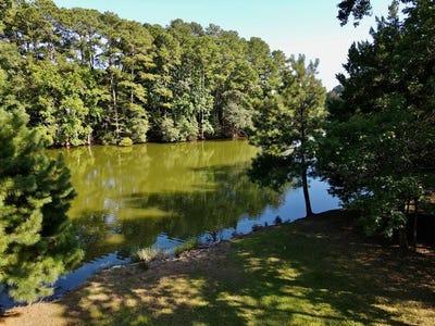 /international/us/ferry-road-lot-2-heathsville-va-110102095837/
