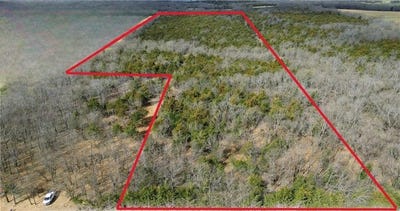 /international/us/tracts-1-3-spring-valley-road-louisburg-ks-110101152656/?lang=zh-cn