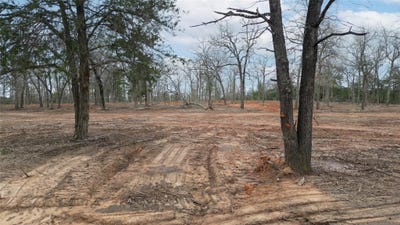 /international/us/1559-fm-535-highway-smithville-tx-110090171242/
