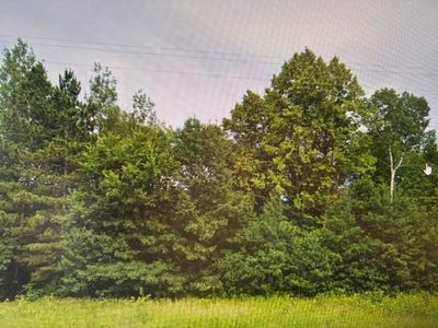 /international/us/1415-183rd-lane-ogilvie-mn-110119562152/