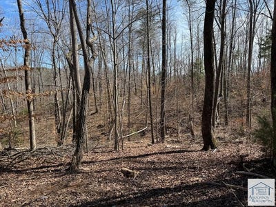 /international/us/abram-penn-hwy-patrick-springs-va-110097763877/