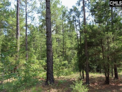 /international/us/landis-road-winnsboro-sc-110119486984/