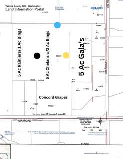 /international/us/91-belma-rd-grandview-wa-110102327134/