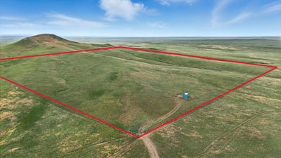 /international/us/14051-other-newell-sd-110100471854/