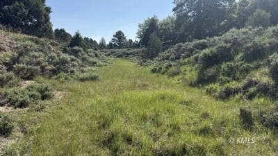 /international/us/alton-alton-ut-110100593661/