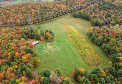 /international/us/734-post-road-franklin-ny-110108148719/