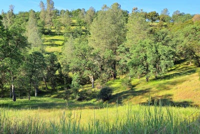 /international/us/tbd-boneyard-creek-road-coulterville-ca-110107353751/
