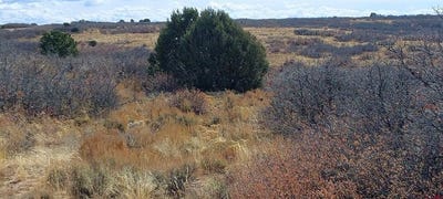 /international/us/tbd-road-c-dove-creek-co-110100943762/