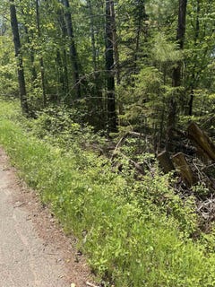 /international/us/lower-dam-road-mountain-wi-110108333777/