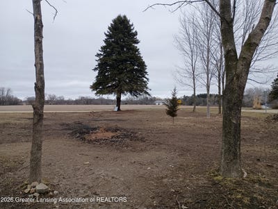 /international/us/00-v-l-n-lakeside-drive-perrinton-mi-110105917660/