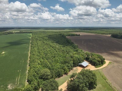 /international/us/0-highway-8-north-tract-philipp-ms-110100970116/?lang=zh-tw
