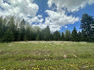 /international/us/lot-15-pleasant-meadow-drive-angel-fire-nm-110099768095/