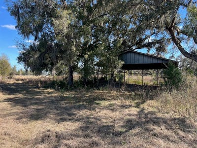 /international/us/2351-ne-highway-41-williston-fl-110105976208/