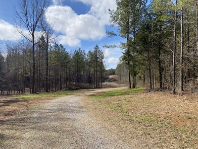 /international/us/highway-61-columbiana-al-110106003717/