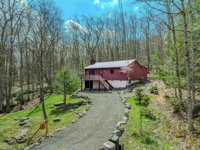 /international/us/597-pine-drive-terra-alta-wv-110107481809/