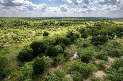 /international/us/433-county-road-327-gouldbusk-tx-110100816087/