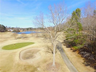 /international/us/108-birdie-williamsburg-va-110108932683/