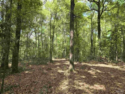 /international/us/1131-wolf-log-rd-flomaton-al-110085204555/