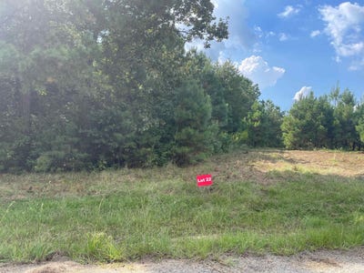 /international/us/tbd-lot-22-cr-2204-d-fm-1797-tatum-tx-110072244130/