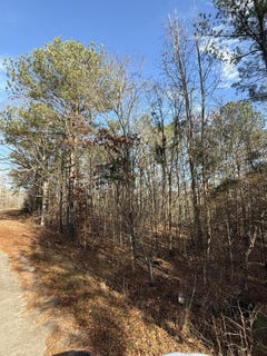 /international/us/sertoma-drive-lot-a-johnston-sc-110104405509/