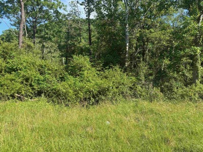 /international/us/tbd-1-99-acres-parkersburg-tpke-swoope-va-110108771314/