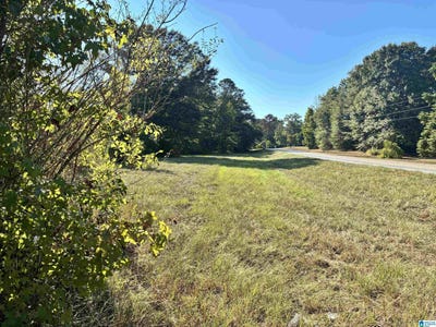 /international/us/county-road-24-lot-1-verbena-al-110110270104/