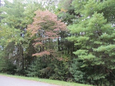 /international/us/byers-road-lot-25-blairsville-ga-110108449345/