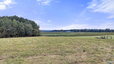 /international/us/8-32-county-road-71-centre-al-110120483439/