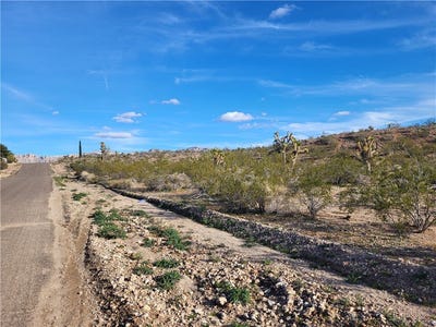 /international/us/530-w-hardy-drive-meadview-az-110105903775/