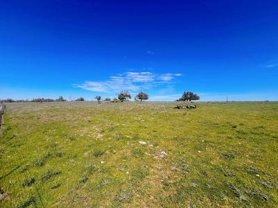 /international/us/283-cut-off-rd-lot-1-fredericksburg-tx-110119742955/