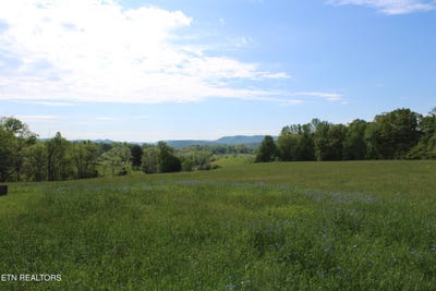 /international/us/n-york-hwy-pall-mall-tn-110099068443/?lang=zh-cn