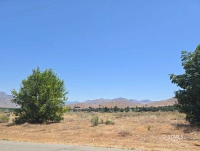 /international/us/426-390-24-flycatcher-weldon-ca-110099984167/?lang=zh-tw
