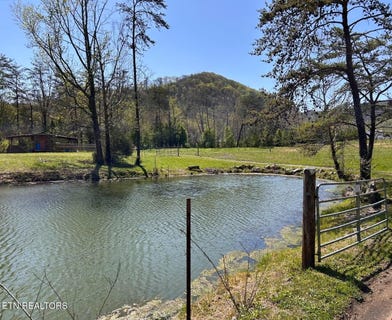 /international/us/275-republican-hill-rd-newcomb-tn-110108121508/